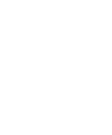 Nextimage 5-icon in white